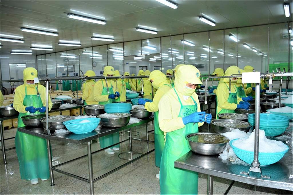 Cà Mau: Tăng cường công tác phòng, chống dịch Covid-19 tại các doanh nghiệp 