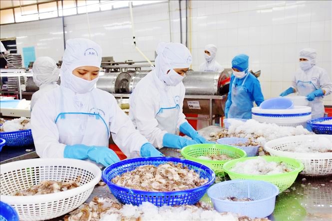 Việt Nam nhập khẩu thủy sản vào thị trường Nga tăng mạnh 