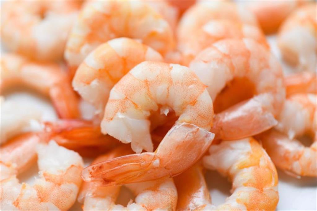 Vietnam increases shrimp exports to Canada, Australia, Singapore