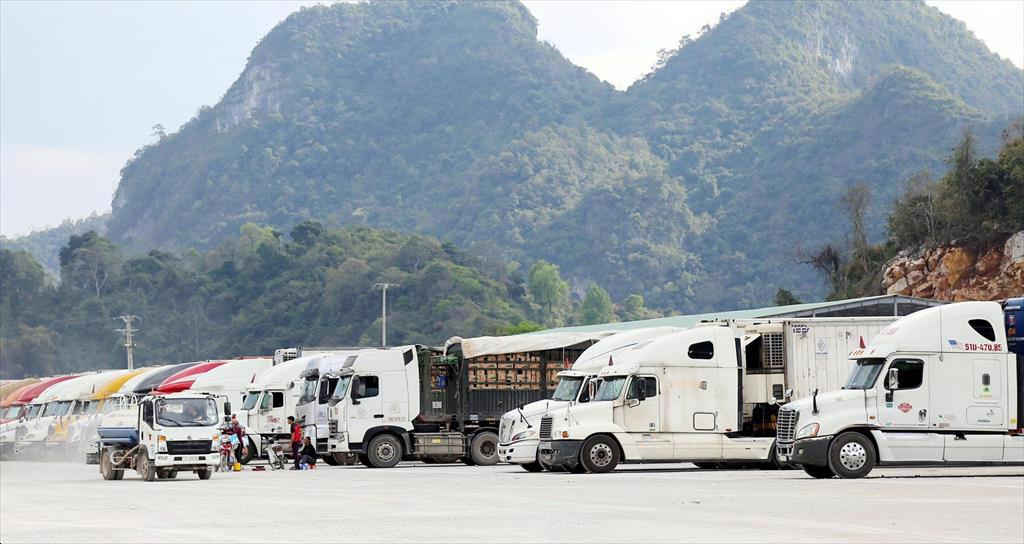 Xuất khẩu sang Trung Quốc: Tắc đường biển lẫn đường bộ