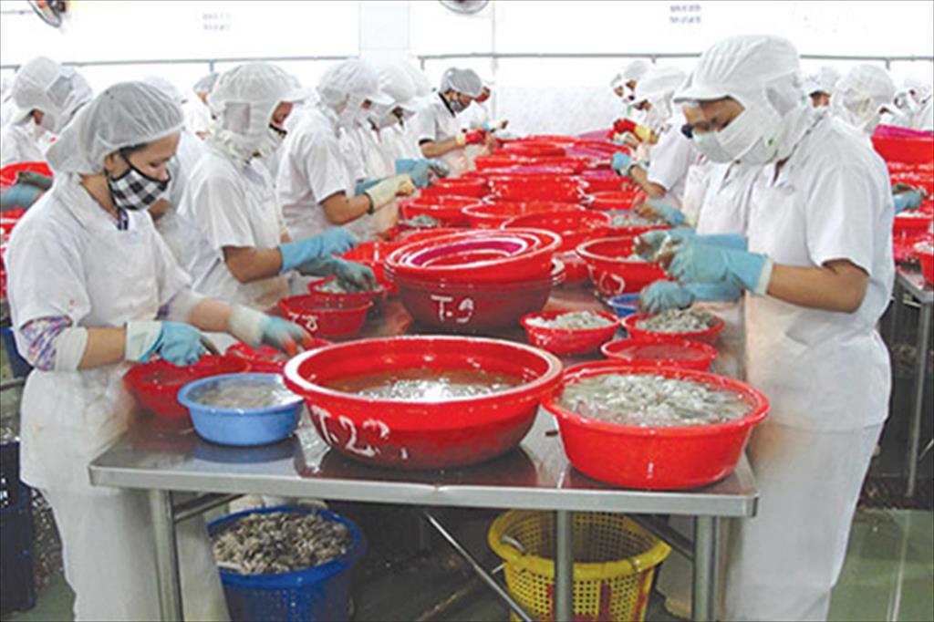 Soc Trang province: Seafood exports in 11 months reached over 920 million USD