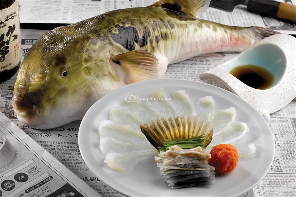 Vietnamese pufferfish find a way to Japan