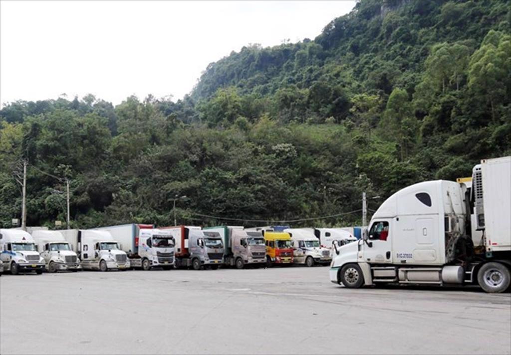 Hải quan: Doanh nghiệp xuất khẩu cần kiểm soát COVID-19 ở cả bao bì