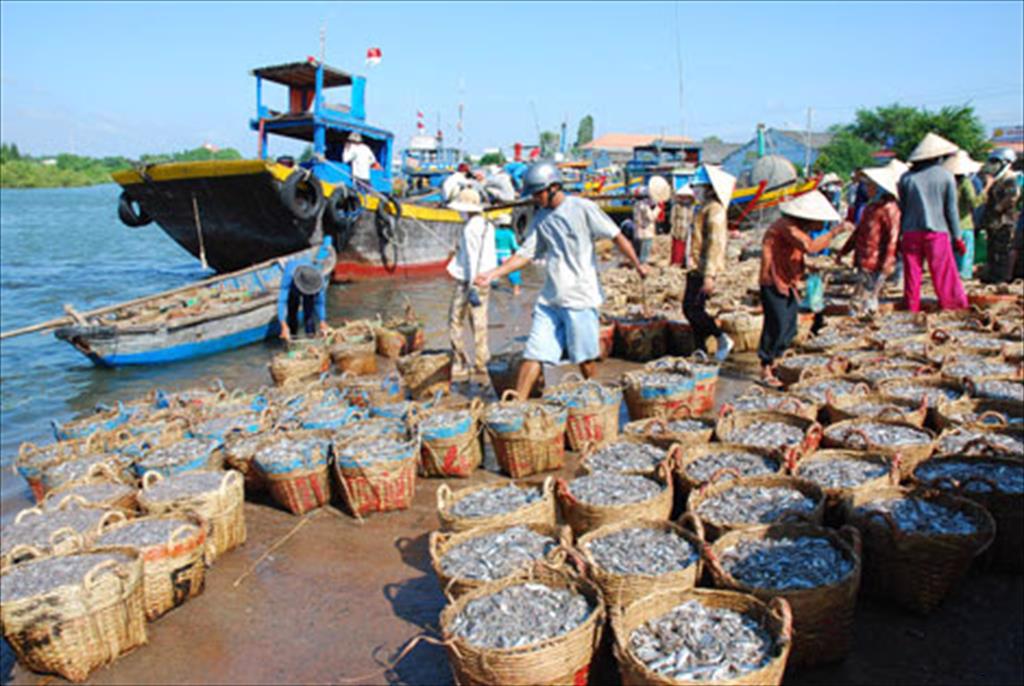 Bình Thuận: Thúc đẩy xuất khẩu thủy hải sản phát triển