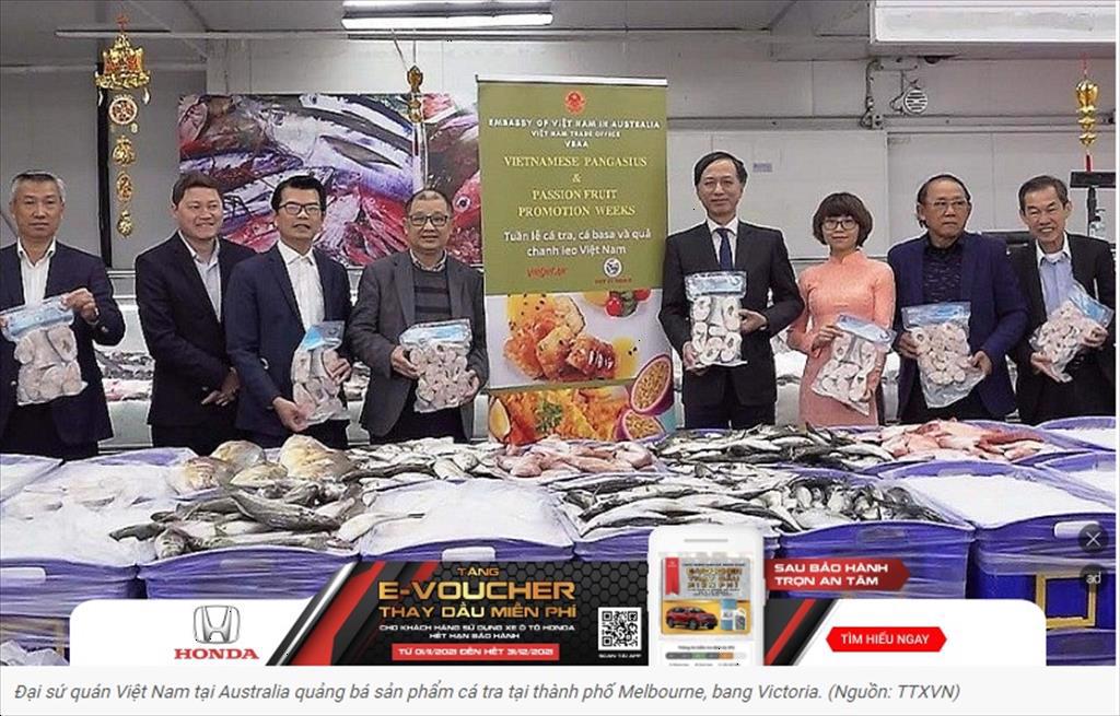 Cá tra, cá basa Việt Nam lên gian hàng trực tuyến tại thị trường Australia