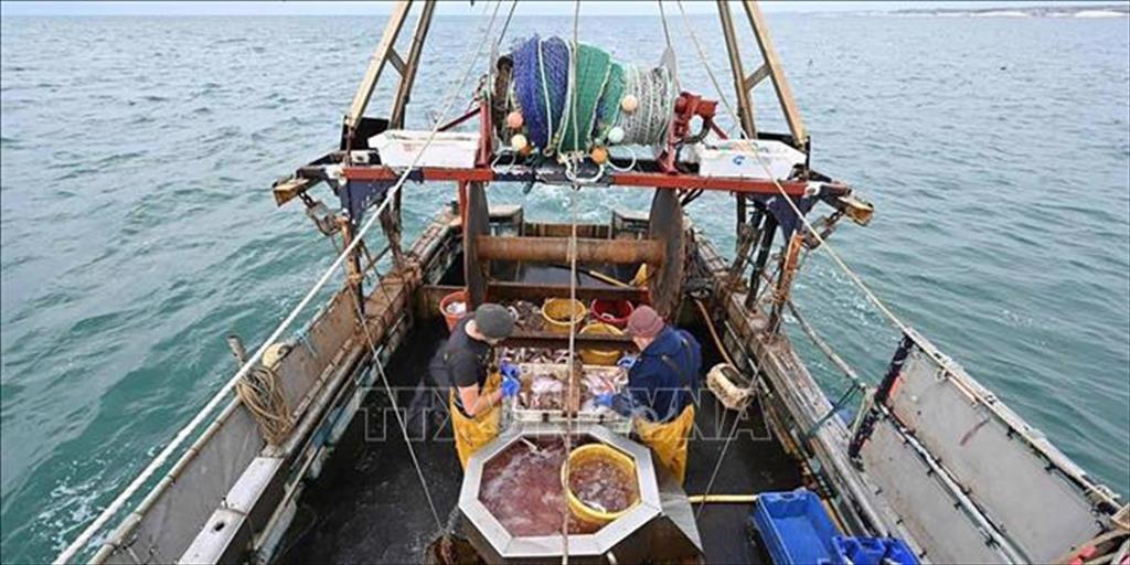 Anh, EU đạt thỏa thuận về hạn ngạch đánh bắt cá năm 2022