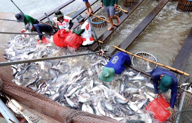 Chuỗi cung ứng tê liệt và phép thử cho doanh nghiệp thủy sản trong năm 2021