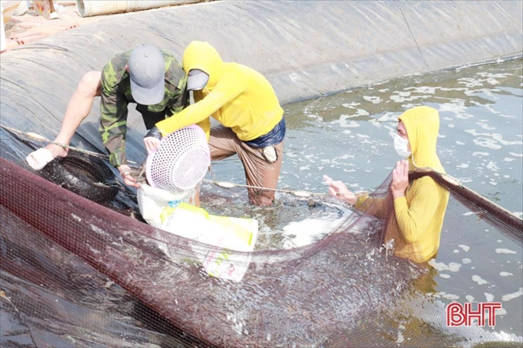 Chính phủ hỗ trợ Hà Tĩnh hơn 14,5 tỷ đồng phát triển thủy sản