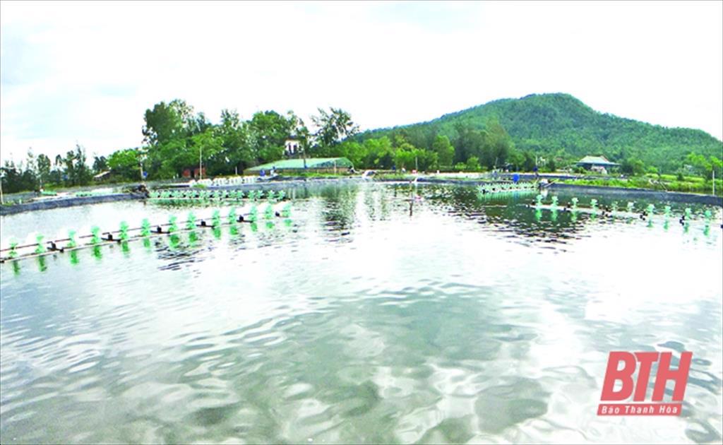 Nỗ lực thực hiện các giải pháp phát triển thủy sản