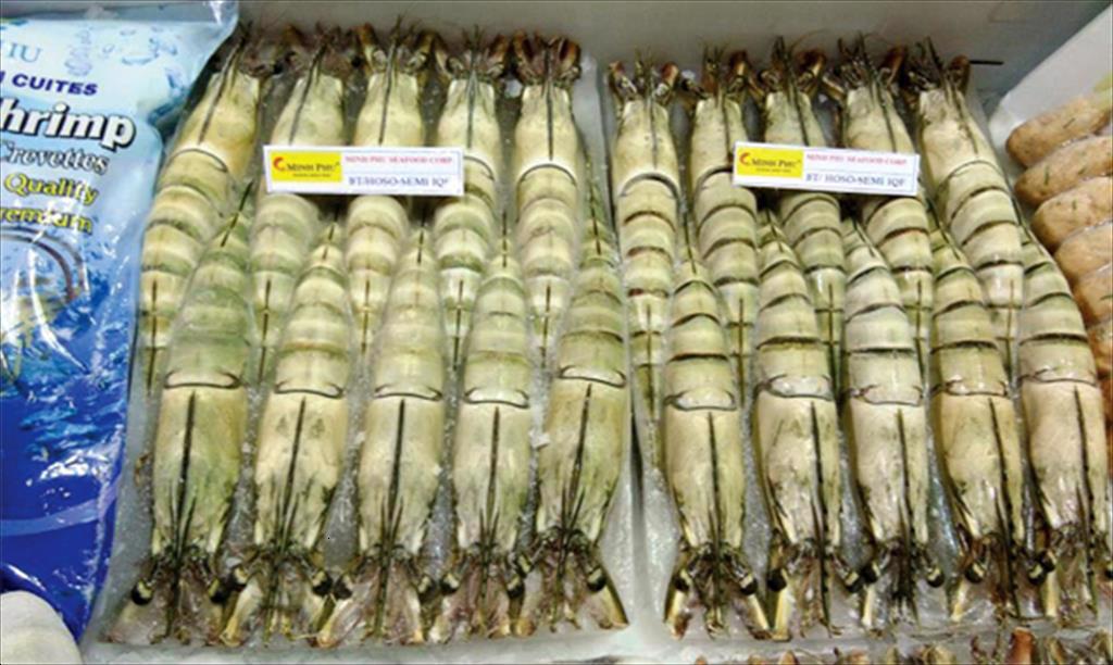 MINH PHU SEAFOOD CORP: Acceleration and expectation for year-end orders