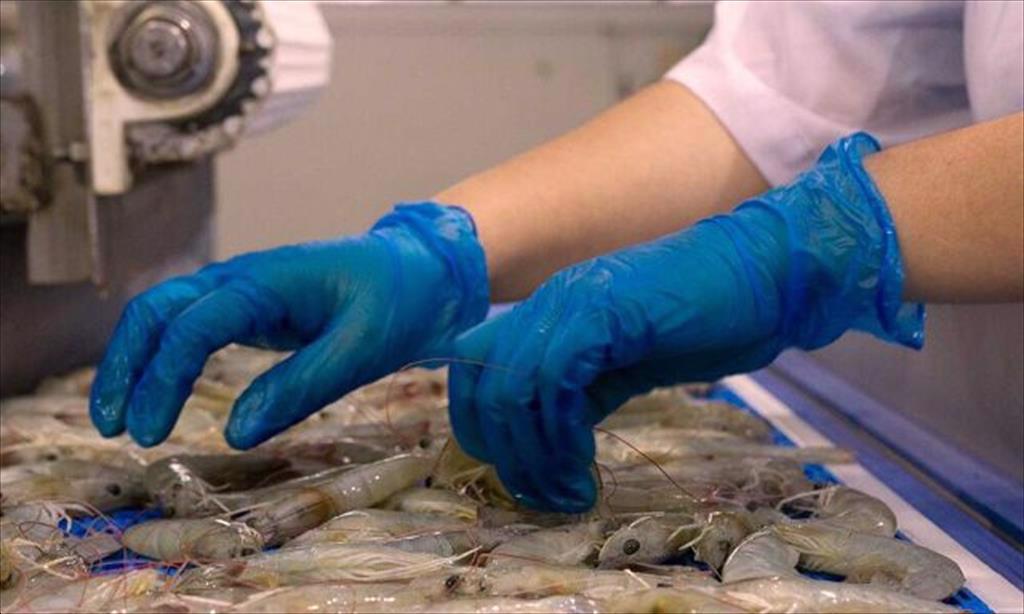 Năm 2021,  Ecuador dẫn đầu thế giới về giá trị xuất khẩu tôm  