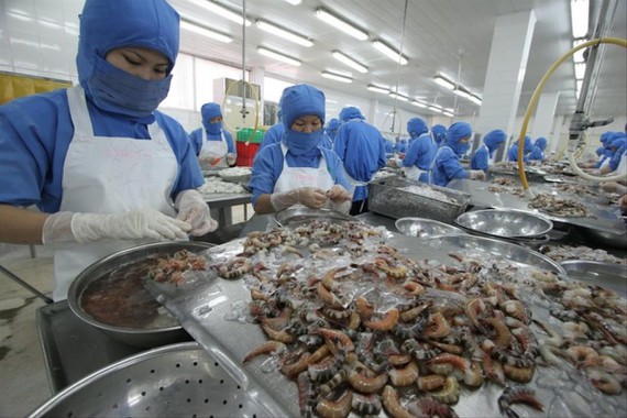 Doanh nghiệp tốn trăm tỷ/năm vì quy định kiểm dịch vô lý