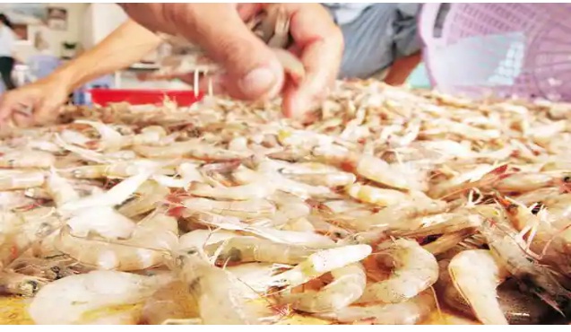 Xuất khẩu tôm của Ấn Độ dự kiến tăng kỷ lục trong năm 2021