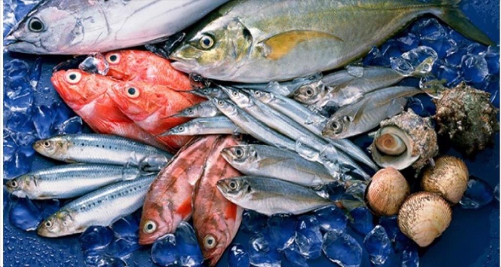 Xuất khẩu hải sản năm 2021 đạt 3,4 tỷ USD 