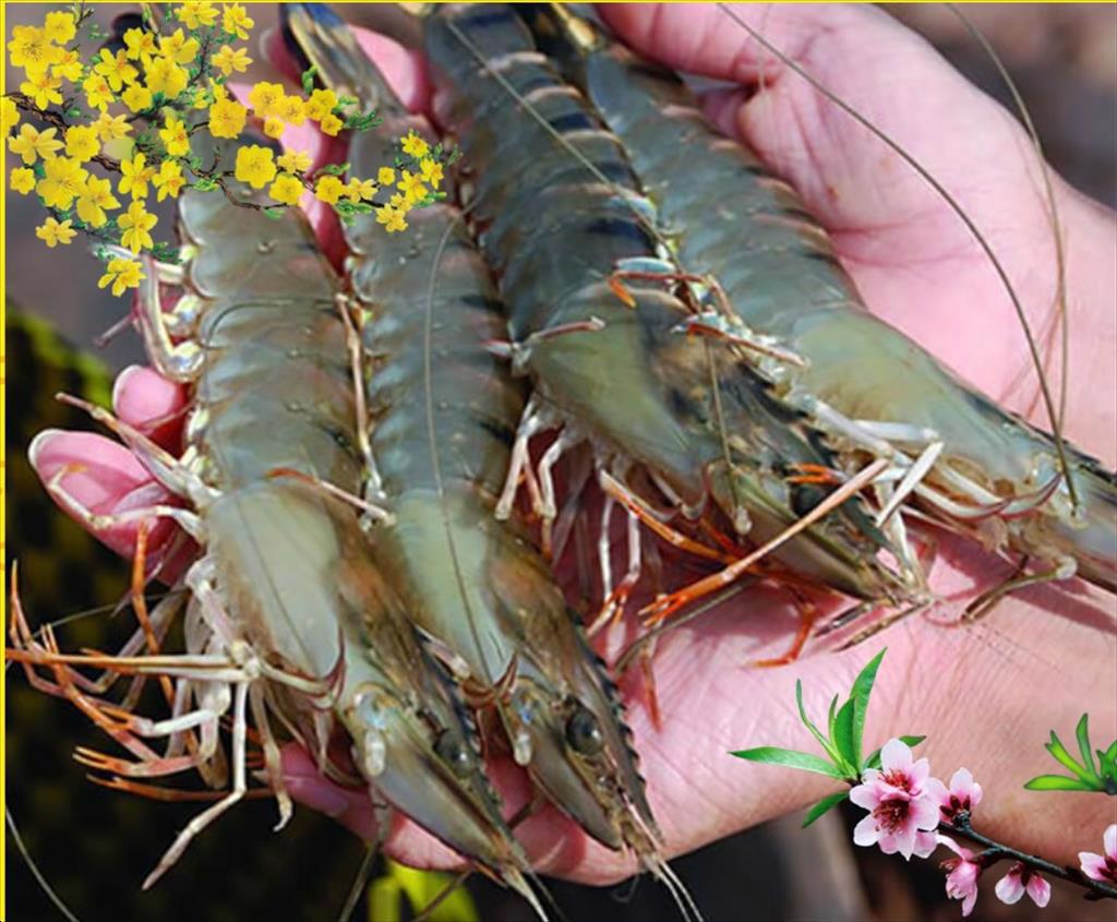 Năm 2021 xuất khẩu thủy sản tươi, đông lạnh và khô tăng 8,5%