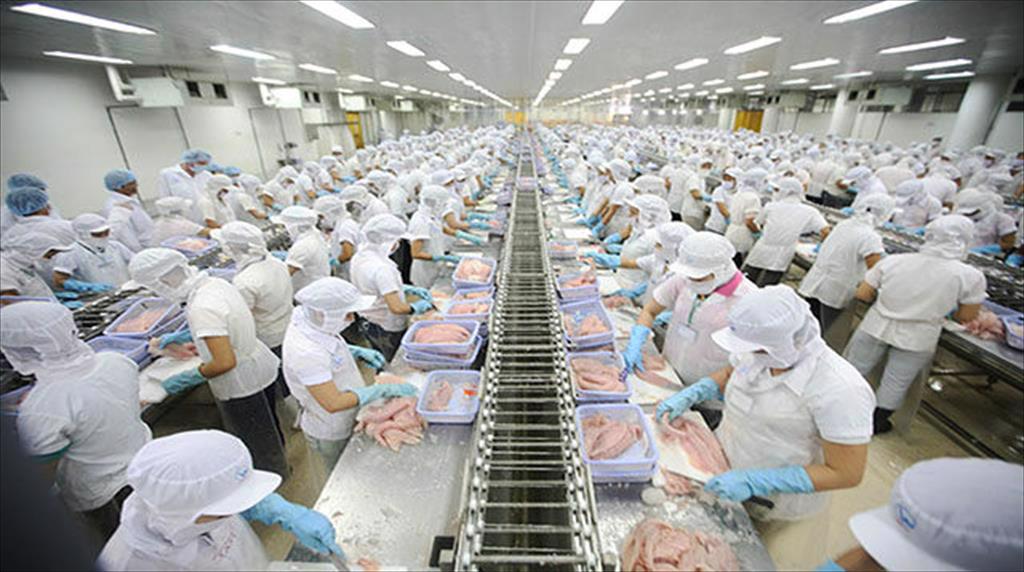 2021 - a successful year of overcoming difficulties for Vietnamese seafood exporters