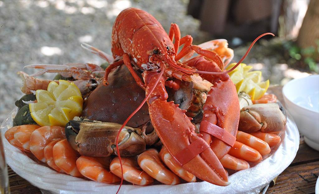 FDA tiếp tục thanh tra khi làn sóng Omicron lắng xuống