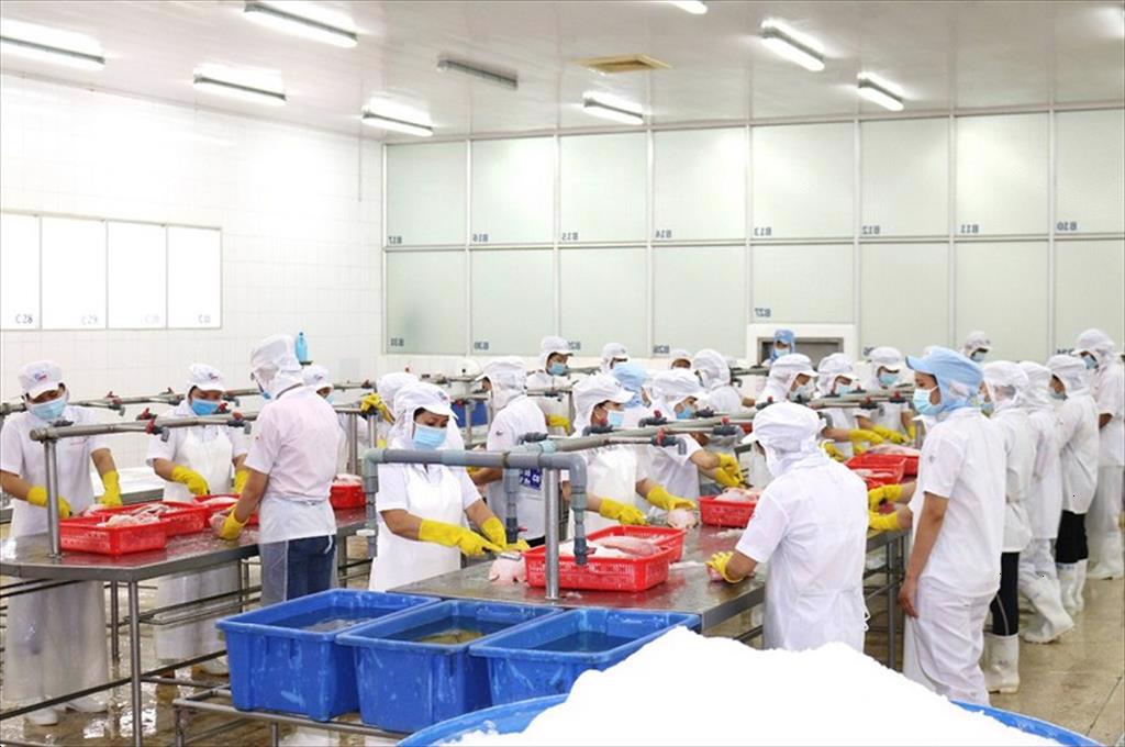 1 container cá diêu hồng được xuất sang Hàn Quốc ngày đầu năm