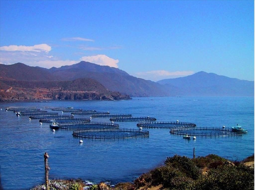 Kế hoạch 5 năm lần thứ 14 của Trung Quốc đặt mục tiêu nuôi trồng thủy sản, thúc đẩy sản xuất