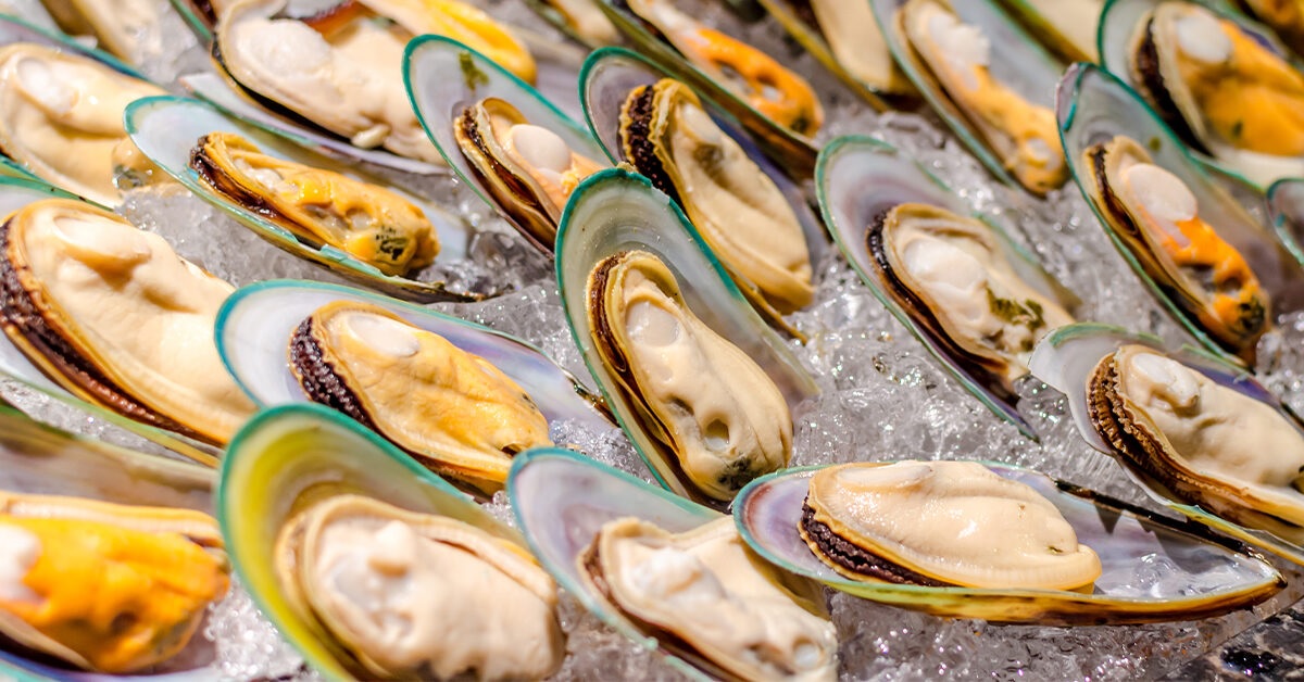 Mỹ nối lại thương mại nhuyễn thể với EU sau lệnh cấm 10 năm