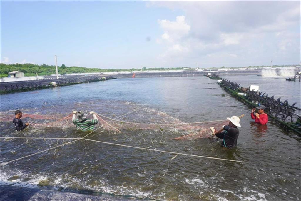 Ngày số đẹp - Ngày đẹp?