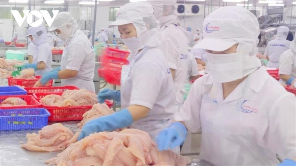 Đồng bằng sông Cửu Long cần làm gì để sản phẩm cá tra bứt tốc