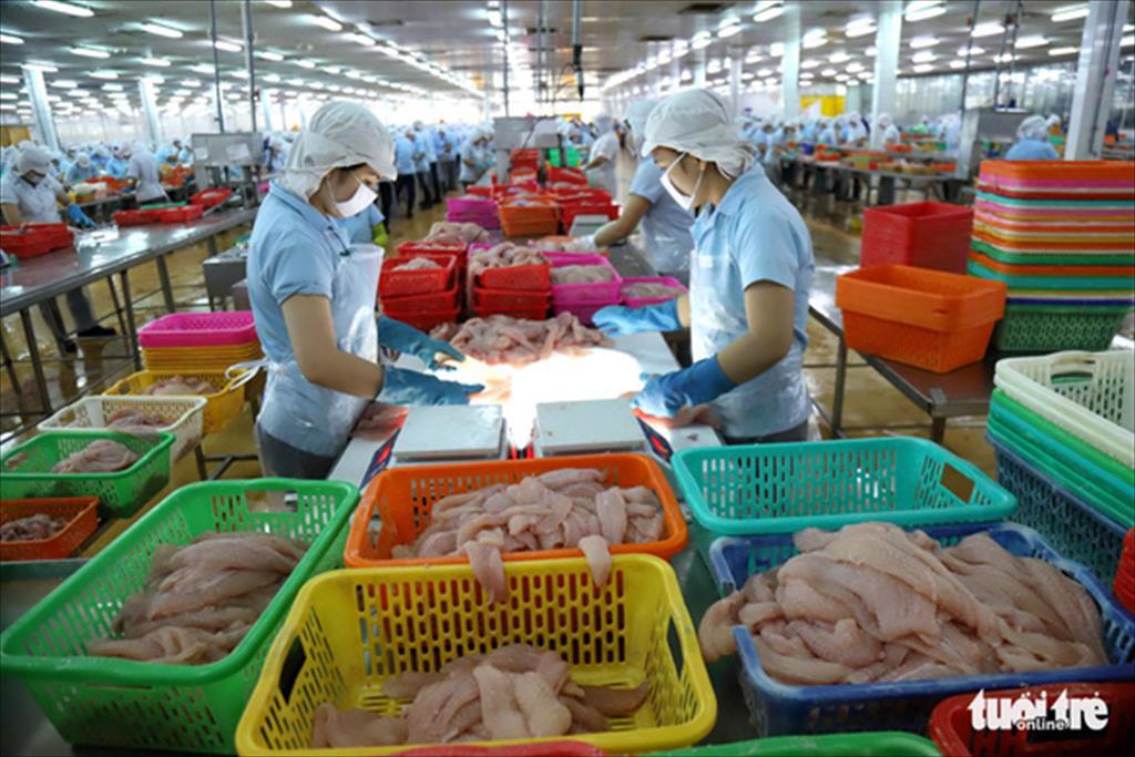 Nhiều lô hàng cá tra bị Trung Quốc cảnh báo liên quan tới COVID-19