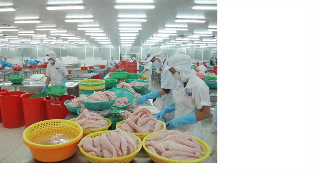 44% increase in Vietnam