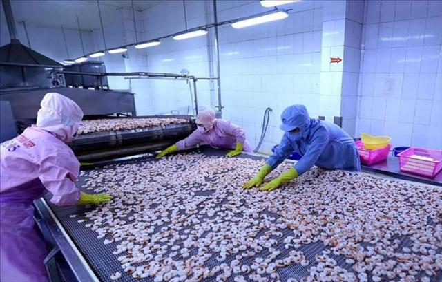 Infographic: Xuất khẩu tôm Việt Nam tháng 1/2022