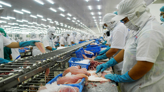 Infographic: Xuất khẩu thủy sản Việt Nam tháng 1/2022 