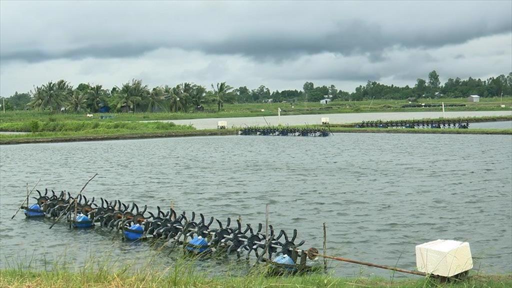 Mời dự Hội nghị "Phát triển ngành tôm năm 2022 và ký quy chế phối hợp quản lý giống tôm nước lợ năm 2022"