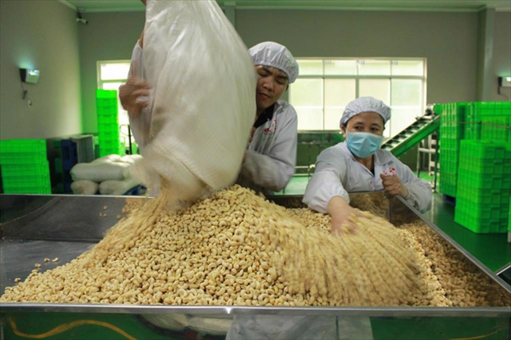 5 ngân hàng Việt liên quan vụ nghi án lừa đảo xuất khẩu 100 container hạt điều sang Ý