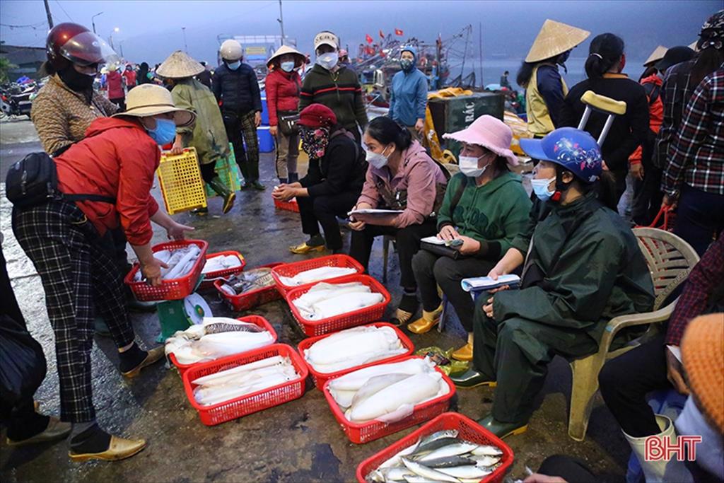 “Vượt khó” bám biển, ngư dân Hà Tĩnh thu về nhiều hải sản