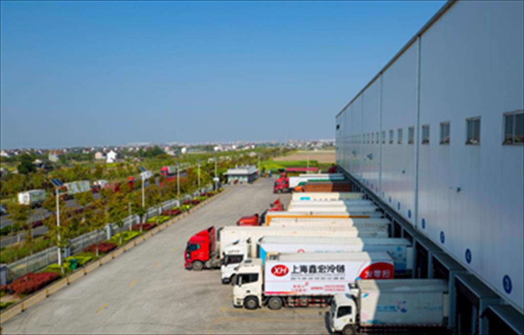 Trung Quốc: Tỉnh Sơn Đông phạt 14 công ty vì vi phạm quy định COVID-19 trong chuỗi lạnh thủy sản 