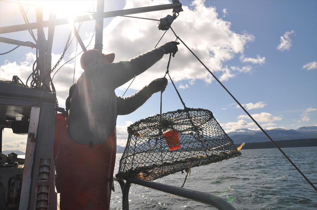 NFI: Không nên áp lệnh cấm nhập khẩu đối với thủy sản của Nga chế biến tại Trung Quốc