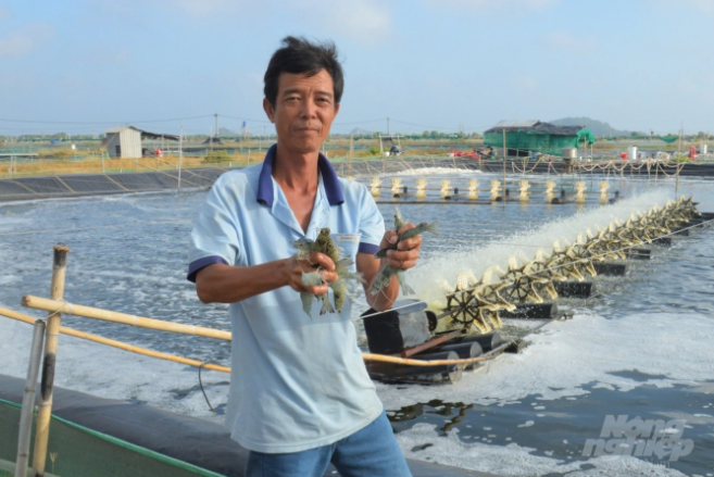 Đầu tư đường ống ngầm nghìn tỷ lấy nước biển nuôi tôm công nghệ cao