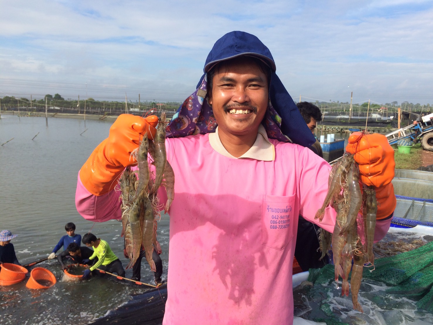 Giá tôm nguyên liệu của Thái Lan giảm trong tuần thứ hai của tháng 3/2022