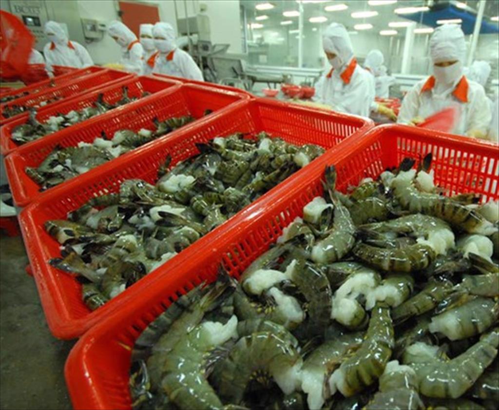 Seafood exports in 2022: Optimistic with a target of exceeding 9 billion USD