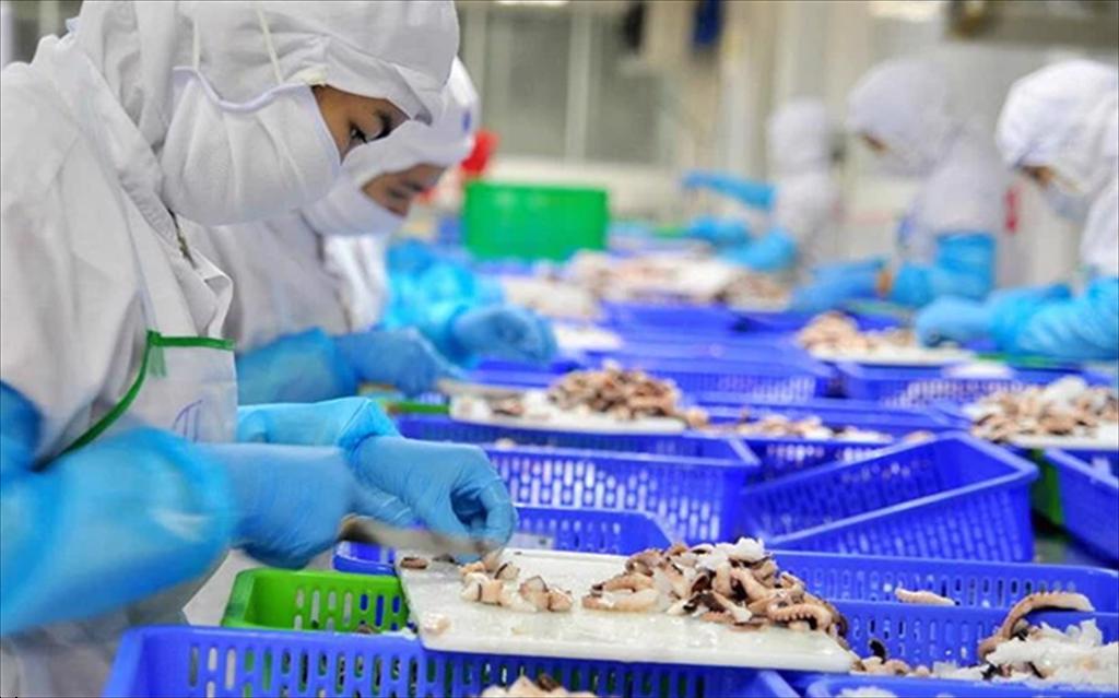 Đà Nẵng: Doanh nghiệp gặp khó khăn vì công nhân bị COVID-19 tăng cao