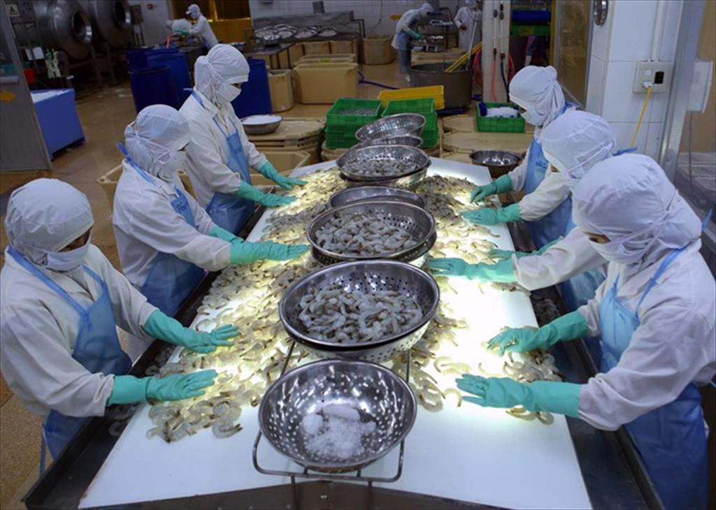 Shrimp exports flourished in the first 2 months of the year