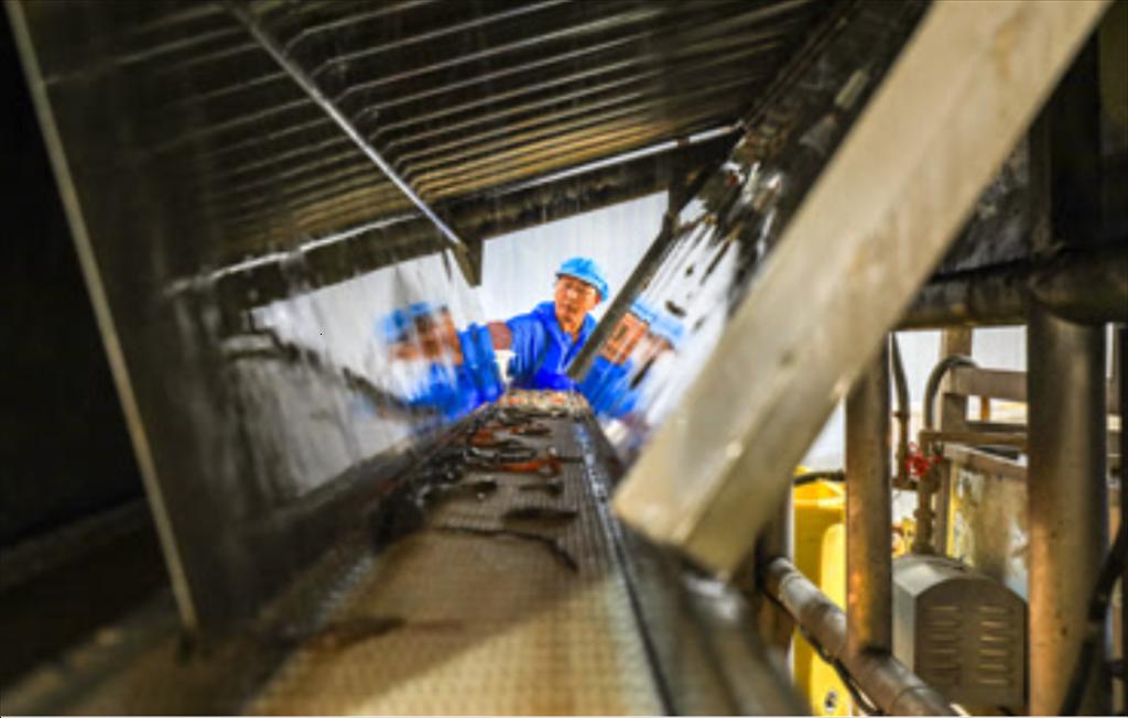 Trung Quốc tăng nhu cầu thủy sản để phục vụ tái xuất khẩu