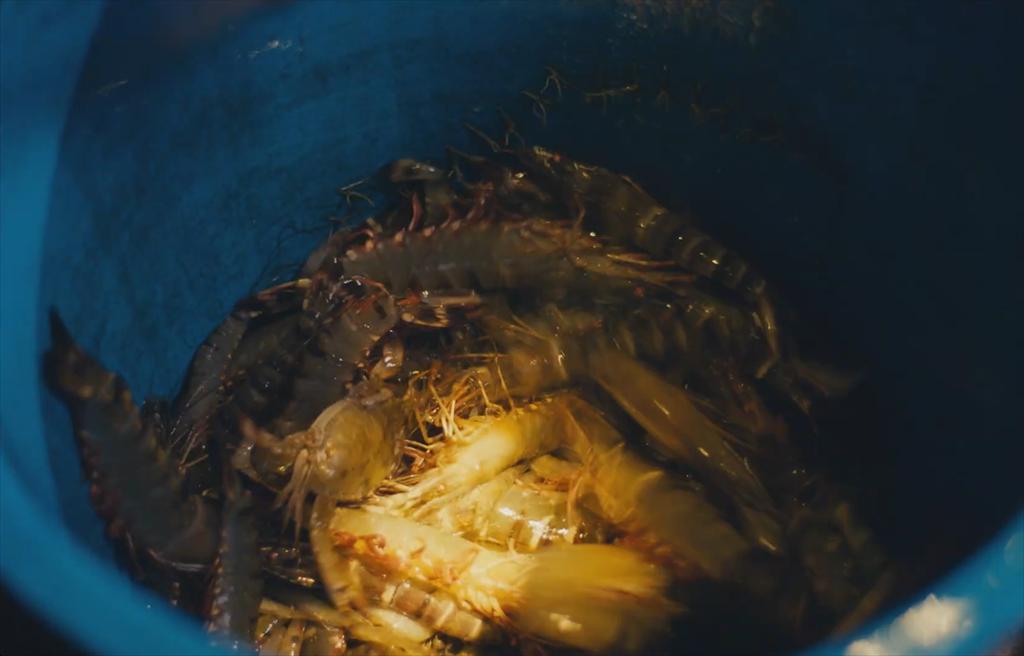 3 doanh nghiệp đầu tiên được cấp chứng nhận quyền sử dụng chỉ dẫn địa lý “Cà Mau” cho sản phẩm tôm sú