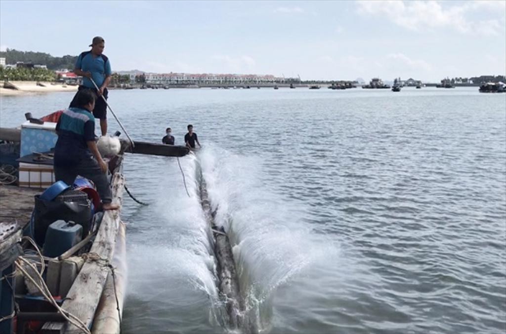 Quảng Ninh nỗ lực gỡ “thẻ vàng” EC thuỷ sản