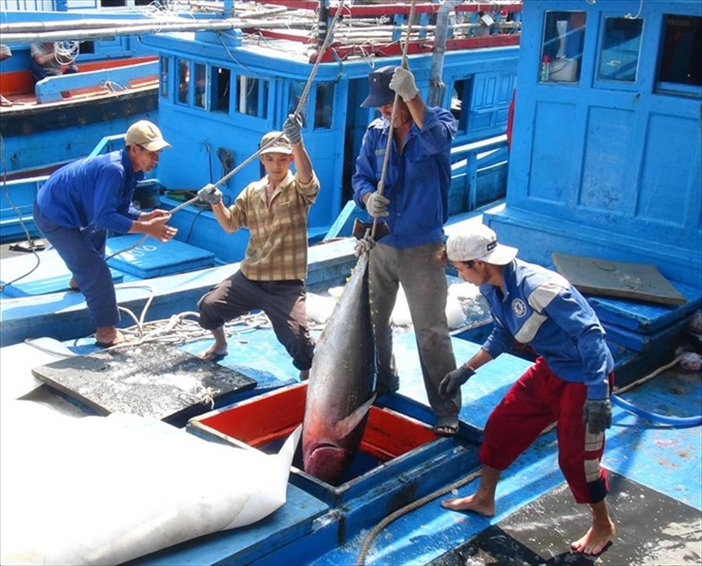 Vietnam marine product exports reached 565 million USD in the first 2 months of the year