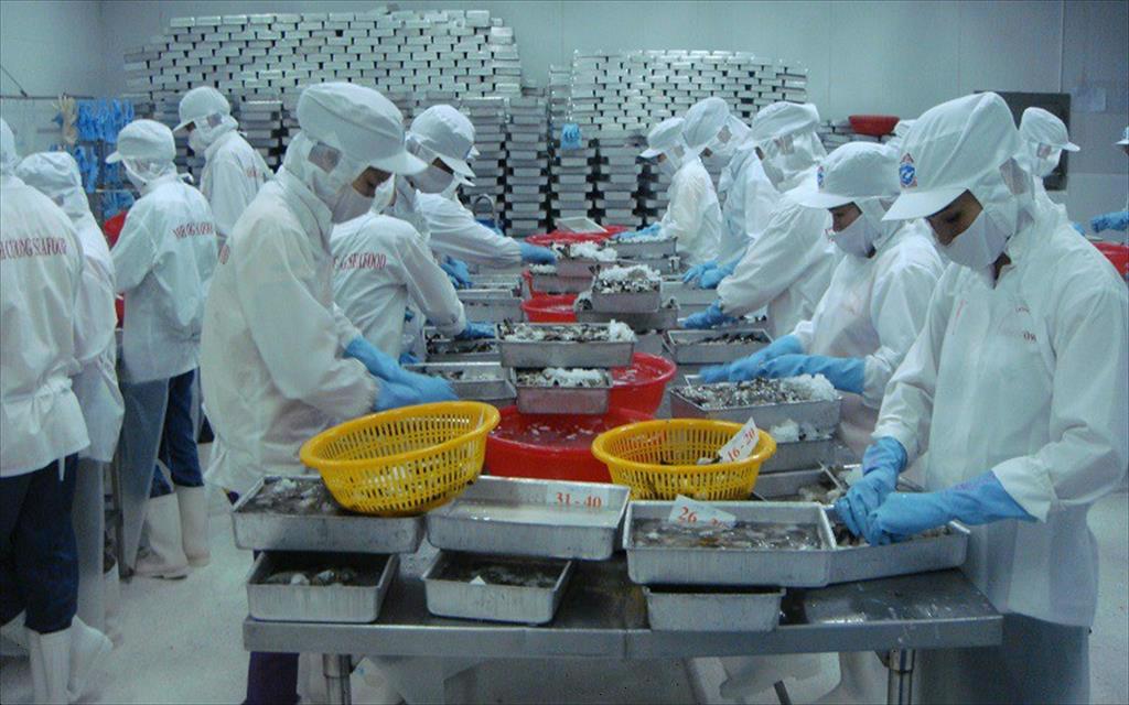 VASEP Highlight - Tôm T3/2022: Xuất khẩu tôm tăng tốc ngay từ đầu năm