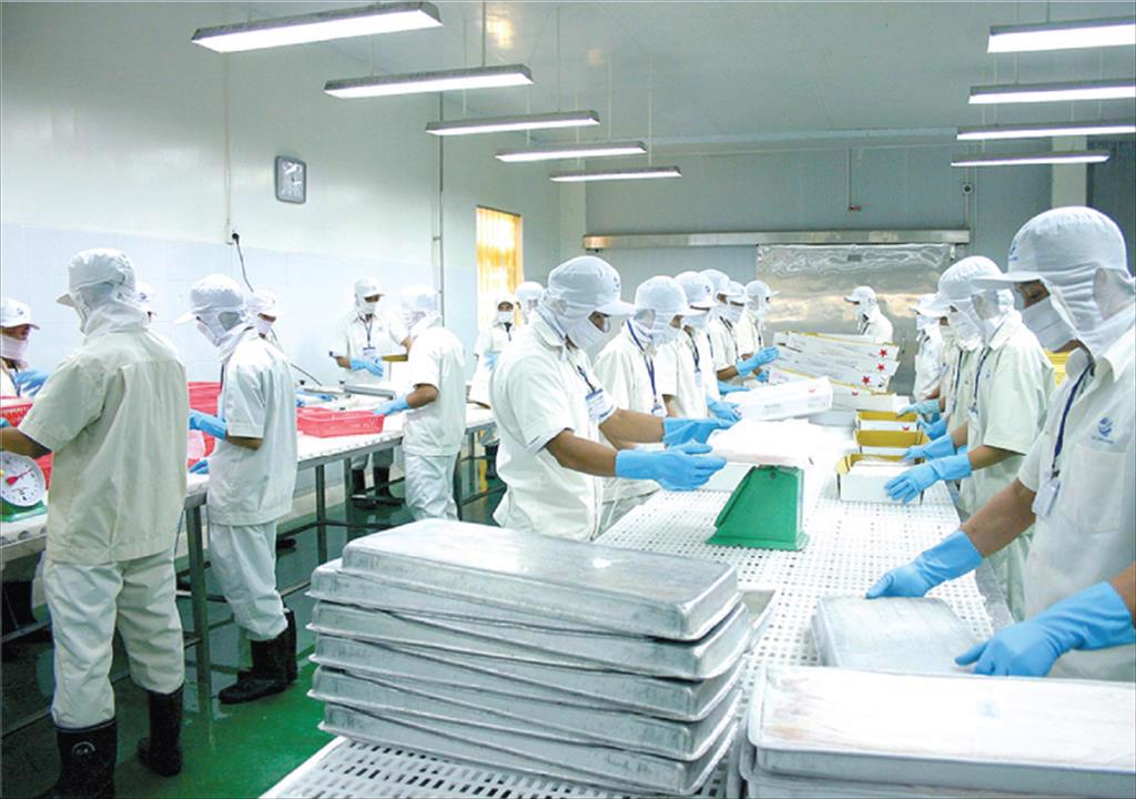 CL-FISH CORP plans to quadruple its pre-tax profit in 2022