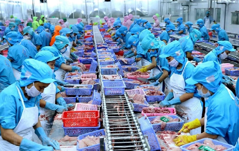 Seafood stocks surged on positive business outlook