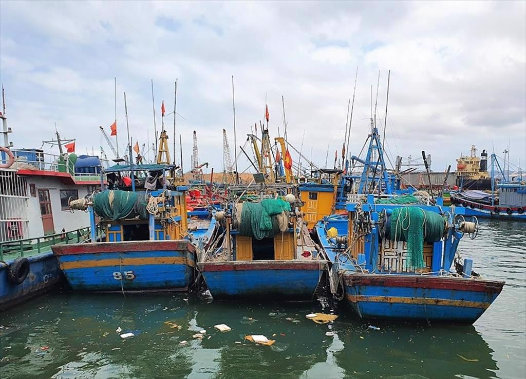 Khuyến cáo ngư dân khai thác theo tổ đội để giảm chi phí