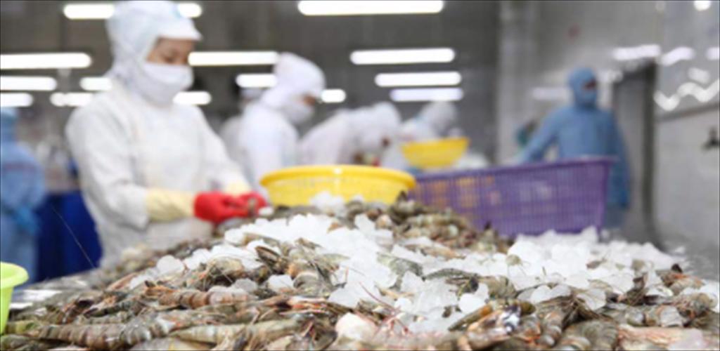 Sao Ta đặt mục tiêu doanh thu 230 triệu USD cho năm 2022