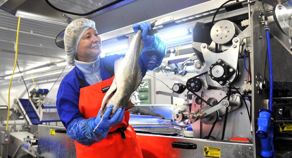 Các nghề cá của Nga bị tạm dừng đánh giá chứng nhận MSC trong 6 tháng